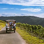 Ferienweingut Hirschen Schulstrasse 4* Burg (Bernkastel-Wittlich)