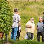 Alojamento de Acomodação e Pequeno-almoço Ferienweingut Hirschen Schulstrasse