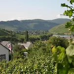 Ferienweingut Hirschen Schulstrasse Alojamento de Acomodação e Pequeno-almoço 4*
