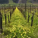 Ferienweingut Hirschen Schulstraße Frühstückspension 4*