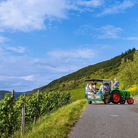 Oda ve Kahvaltı Ferienweingut Hirschen Schulstrasse 4*
