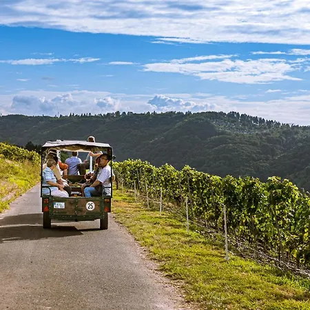 Ferienweingut Hirschen Schulstrasse 4* Burg (Bernkastel-Wittlich)