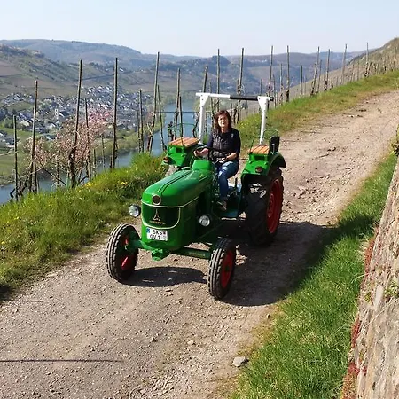 Ferienweingut Hirschen Schulstrasse 4* Burg (Bernkastel-Wittlich)