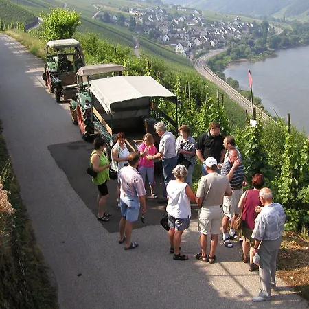 Ferienweingut Hirschen Schulstraße Frühstückspension