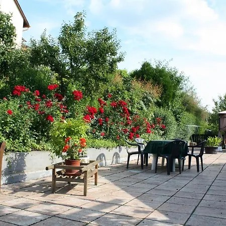 Ferienweingut Hirschen Schulstrasse