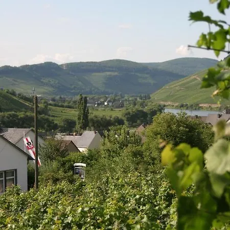 Ferienweingut Hirschen Schulstrasse Oda ve Kahvaltı 4*