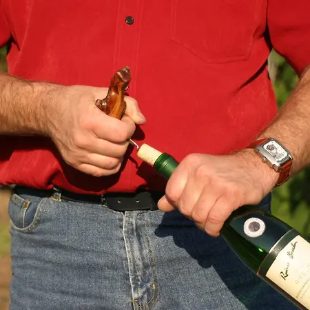 Ferienweingut Hirschen Schulstrasse 4*