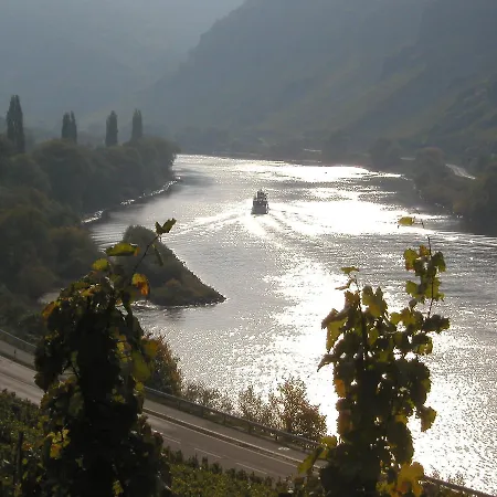 Ferienweingut Hirschen Schulstrasse Bed & Breakfast 4*