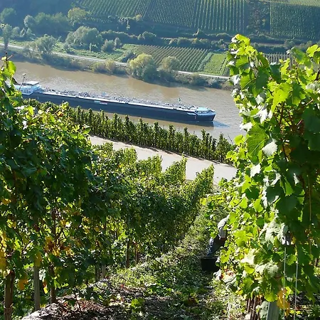 Ferienweingut Hirschen Schulstrasse Burg (Bernkastel-Wittlich)