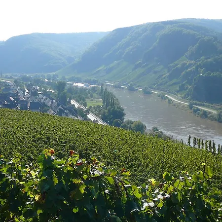Frühstückspension Ferienweingut Hirschen Schulstraße Burg (Bernkastel-Wittlich)