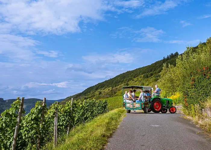 B&B Ferienweingut Hirschen Schulstrasse 4*