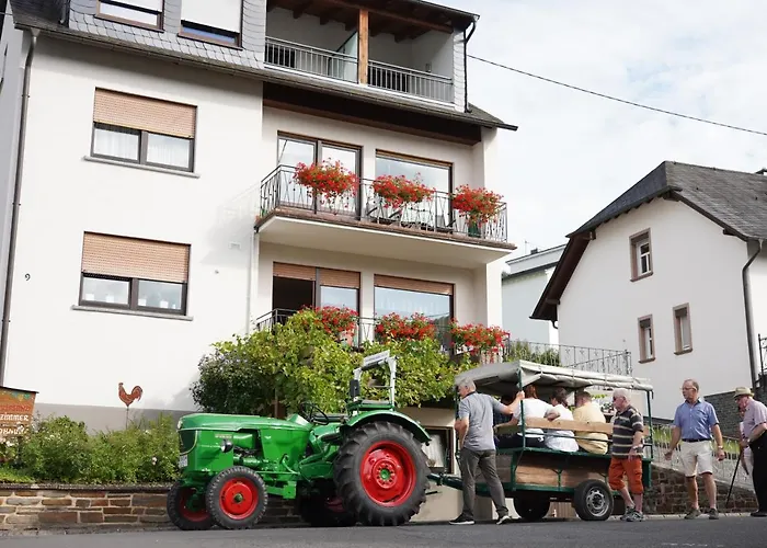 Ferienweingut Hirschen Schulstrasse B&B