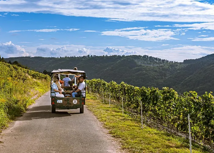 Ferienweingut Hirschen Schulstrasse 4* Burg (Bernkastel-Wittlich)