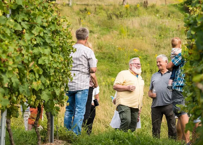 B&B Ferienweingut Hirschen Schulstrasse