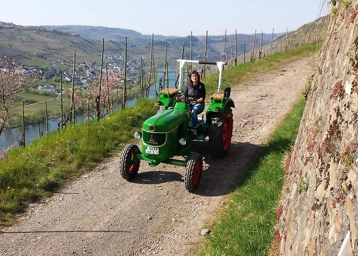 Ferienweingut Hirschen Schulstrasse 4* Burg (Bernkastel-Wittlich)