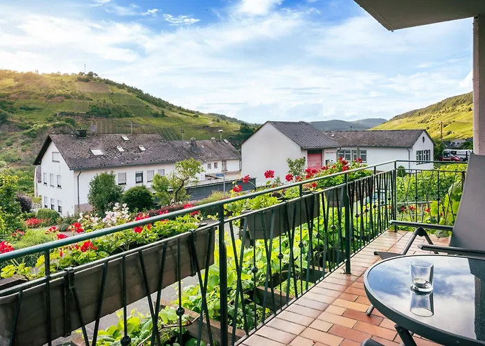 Ferienweingut Hirschen Schulstrasse 4*