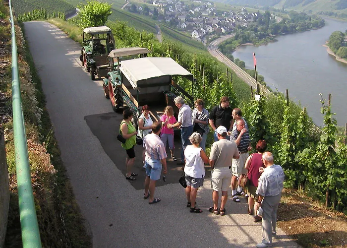 Ferienweingut Hirschen Schulstrasse Отель типа 