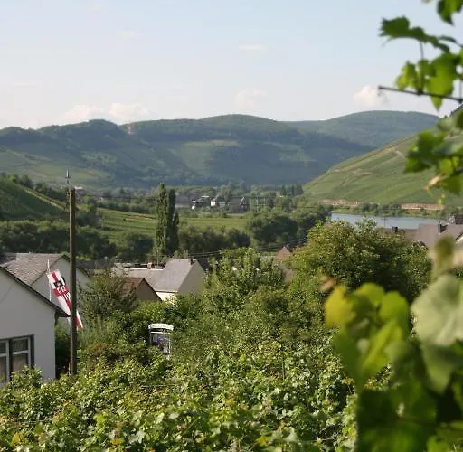 Ferienweingut Hirschen Schulstrasse 住宿加早餐酒店 4*