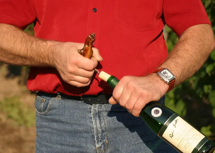 Ferienweingut Hirschen Schulstrasse 4*