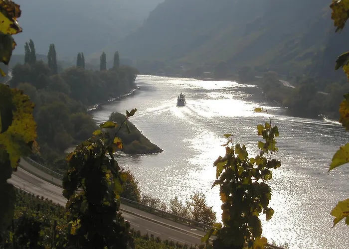 Ferienweingut Hirschen Schulstrasse B&B 4*