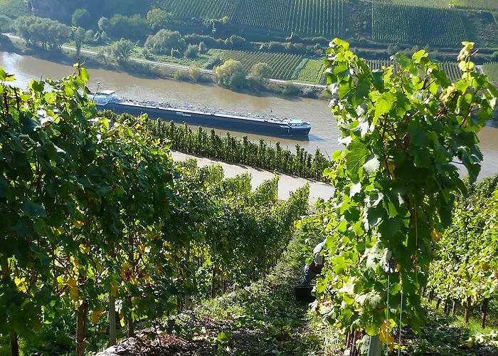 Ferienweingut Hirschen Schulstrasse Burg (Bernkastel-Wittlich)