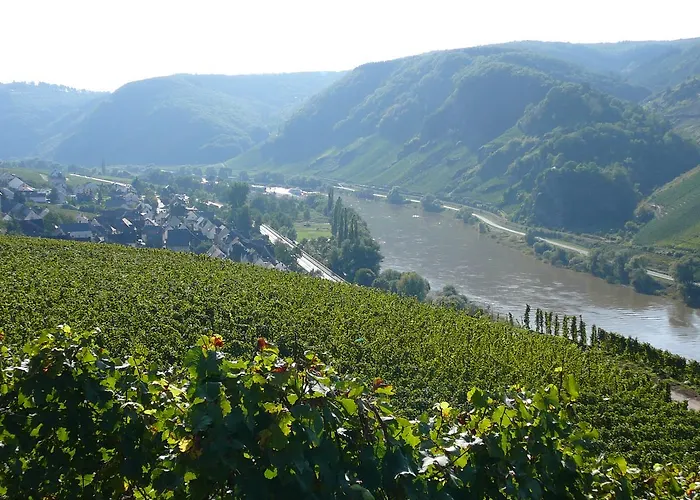 B&B Ferienweingut Hirschen Schulstrasse Burg (Bernkastel-Wittlich)